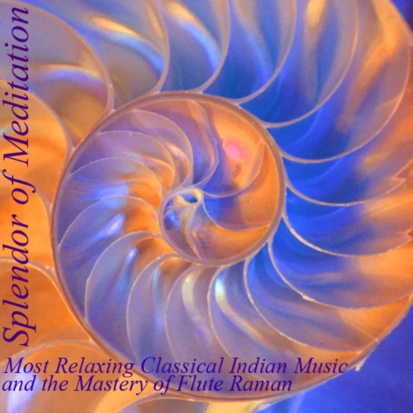Ahir Bhairav (Sunrise In India) [feat. V.K. Raman] — Splendor of Meditation