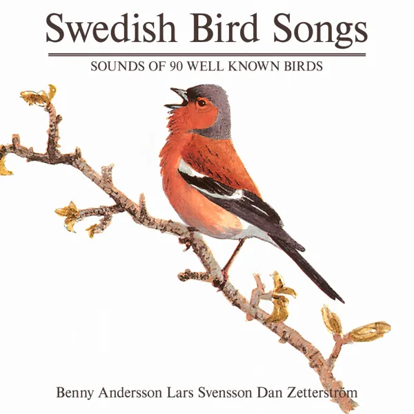 Barn Swallow — Bird Sounds