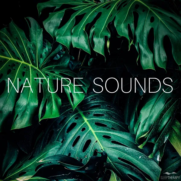 Bird Sounds — SleepTherapy