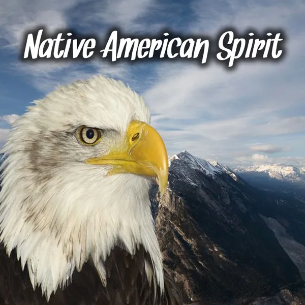 Cherokee Morning Song (feat. Alison) — Indian Calling