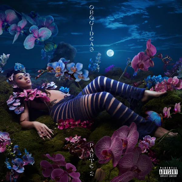 Como Debe Ser — Kali Uchis