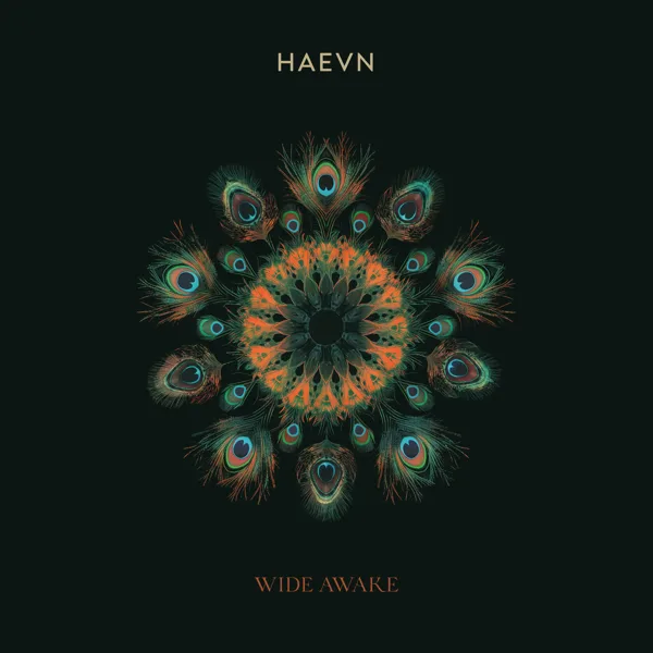 Ever Know — HAEVN