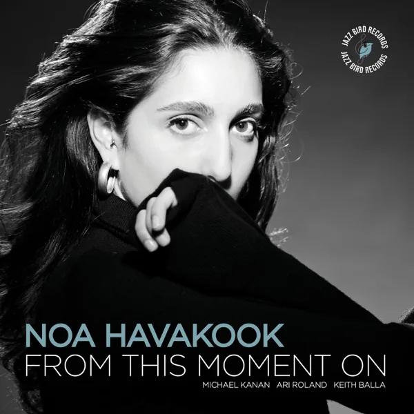 I Want to Talk About You — NOA HAVAKOOK