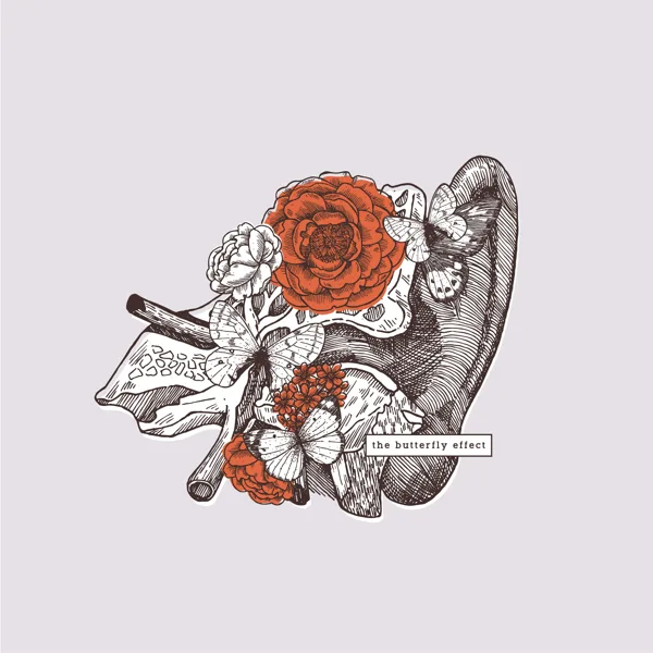 Lay All Your Love on Me — The Butterfly Effect