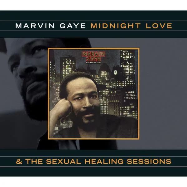 Sexual Healing — Marvin Gaye
