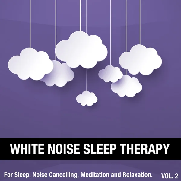 White Noise (Sleepy Night Wind) — White Noise Sleep Therapy